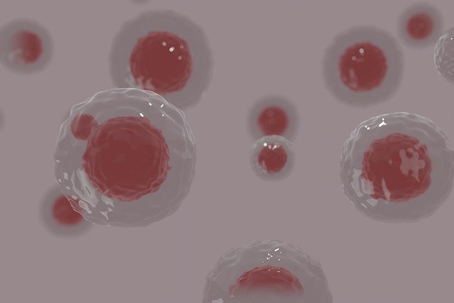 cell injury